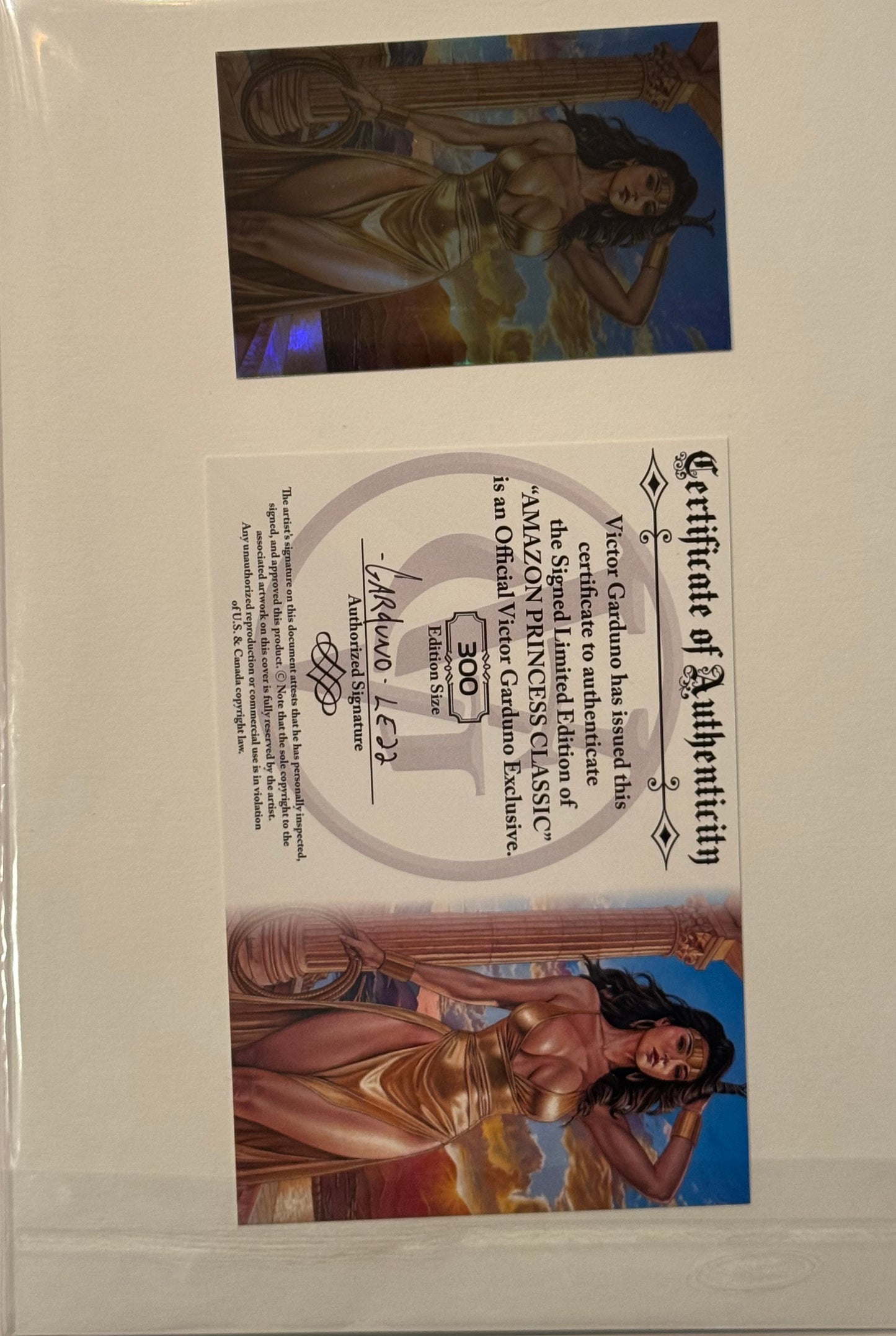 Amazon Princess Artbook - Cover D - Victor Garduno Cosplay Holofoil Nude Variant